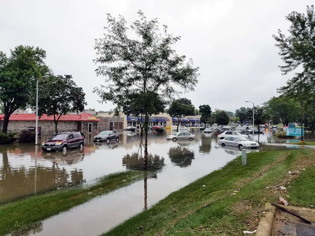 does flood zone ae require flood insurance in florida