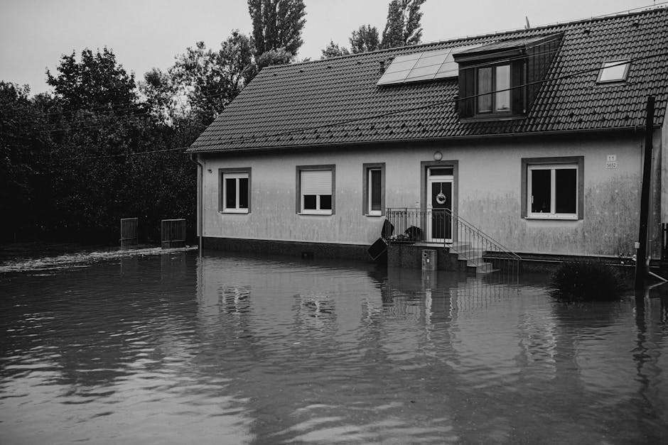 how much is flood insurance in florida zone x